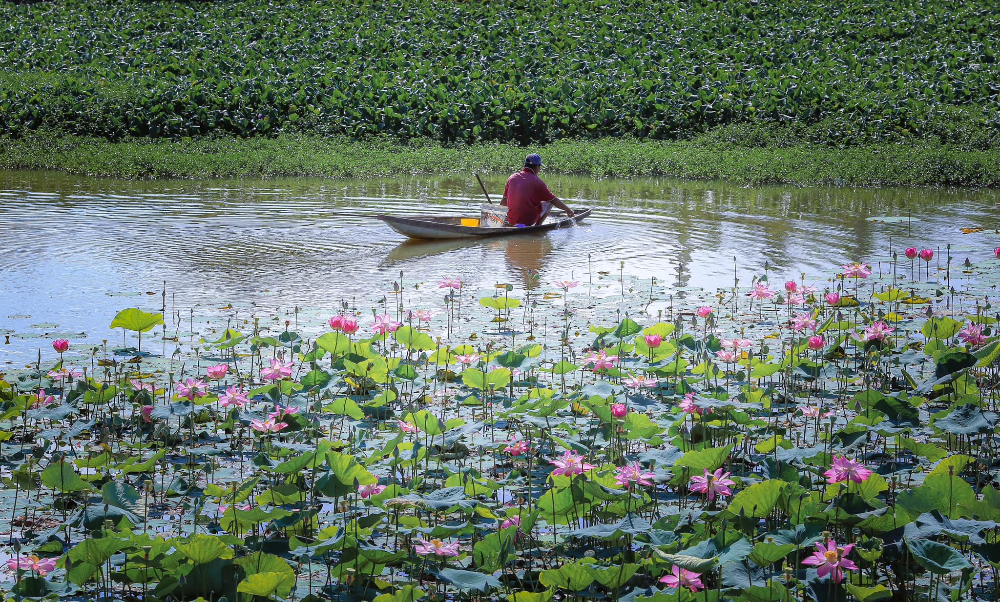 Man in a boat